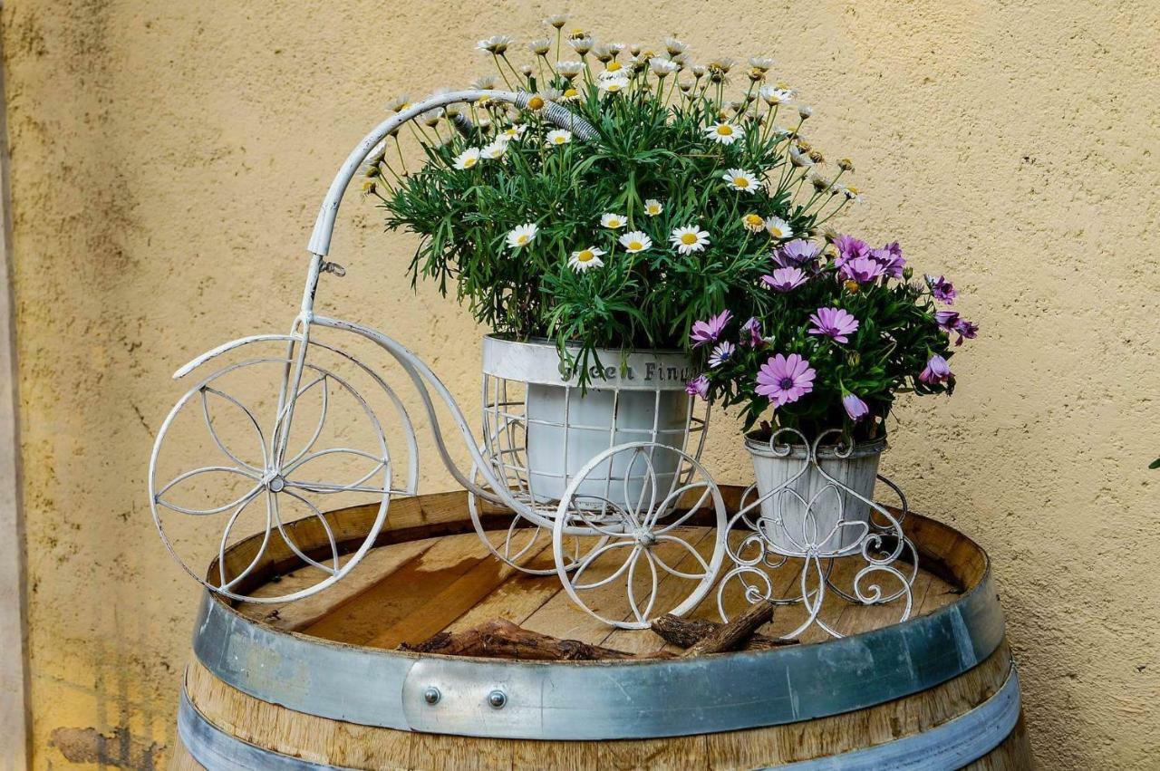 Casale Del Sole Garda Bed & Breakfast Monzambano Dış mekan fotoğraf