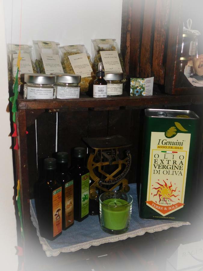 Casale Del Sole Garda Bed & Breakfast Monzambano Dış mekan fotoğraf
